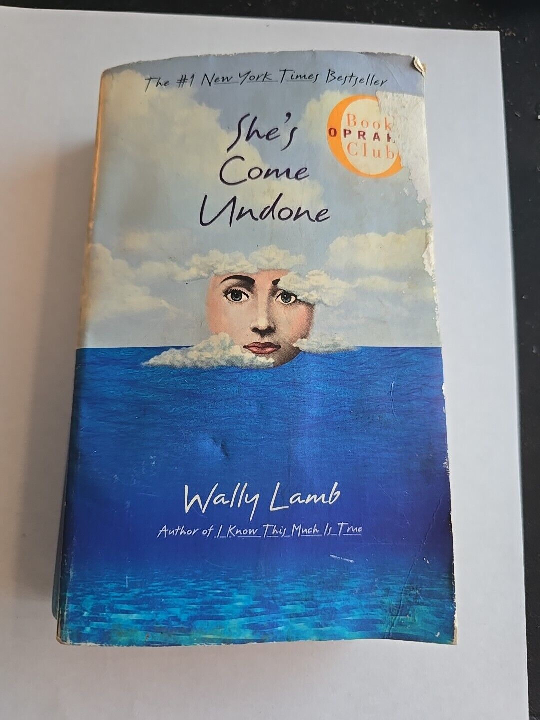 She's Come Undone by Wally Lamb -1996